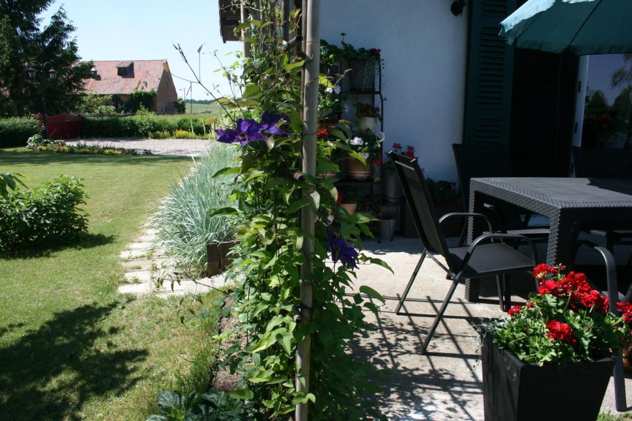 Zielone Okiennice Milki Exterior photo